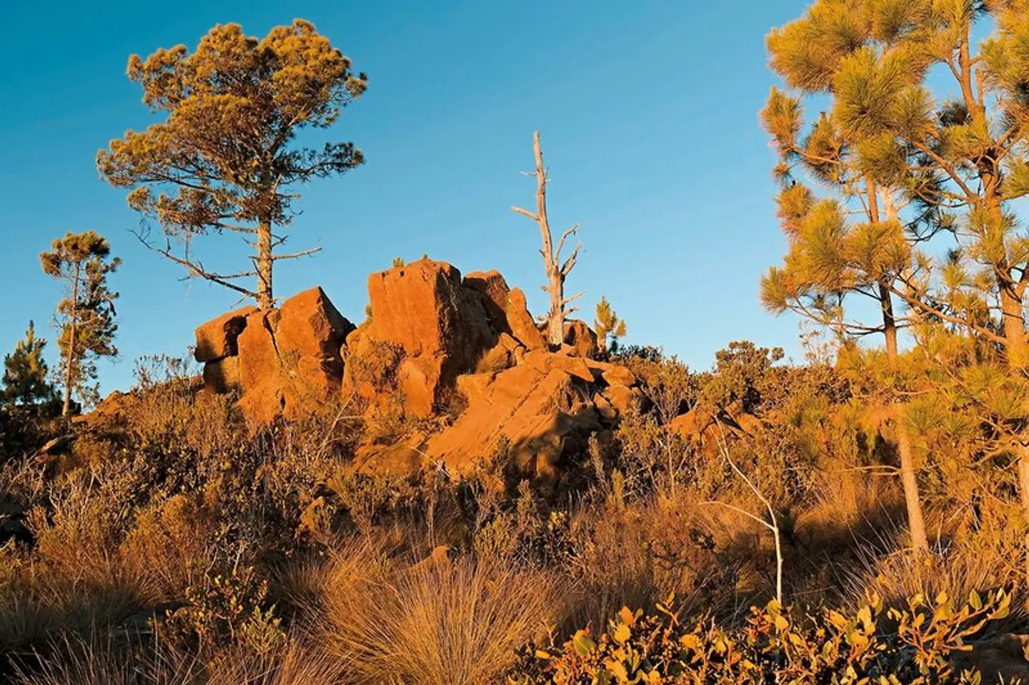 Naturabenteuer Dominikanische Republik LANDSCAPE