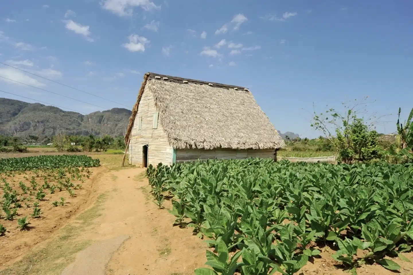Westkuba - zwischen Rum und Zigarren Aussenansicht