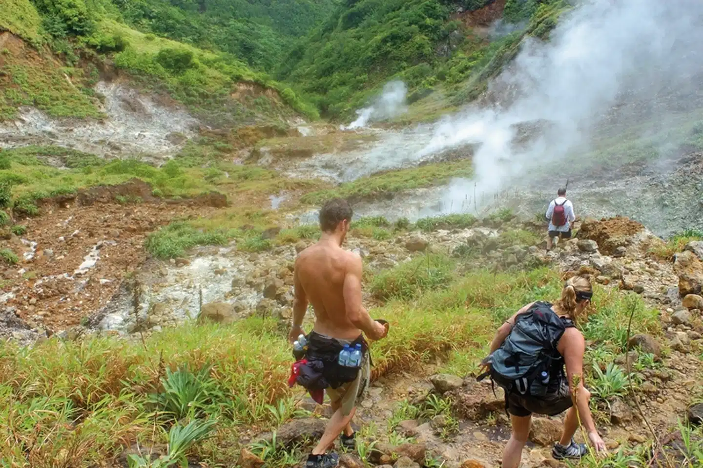 Inselabenteuer Martinique - Dominica - Guadeloupe Tiere