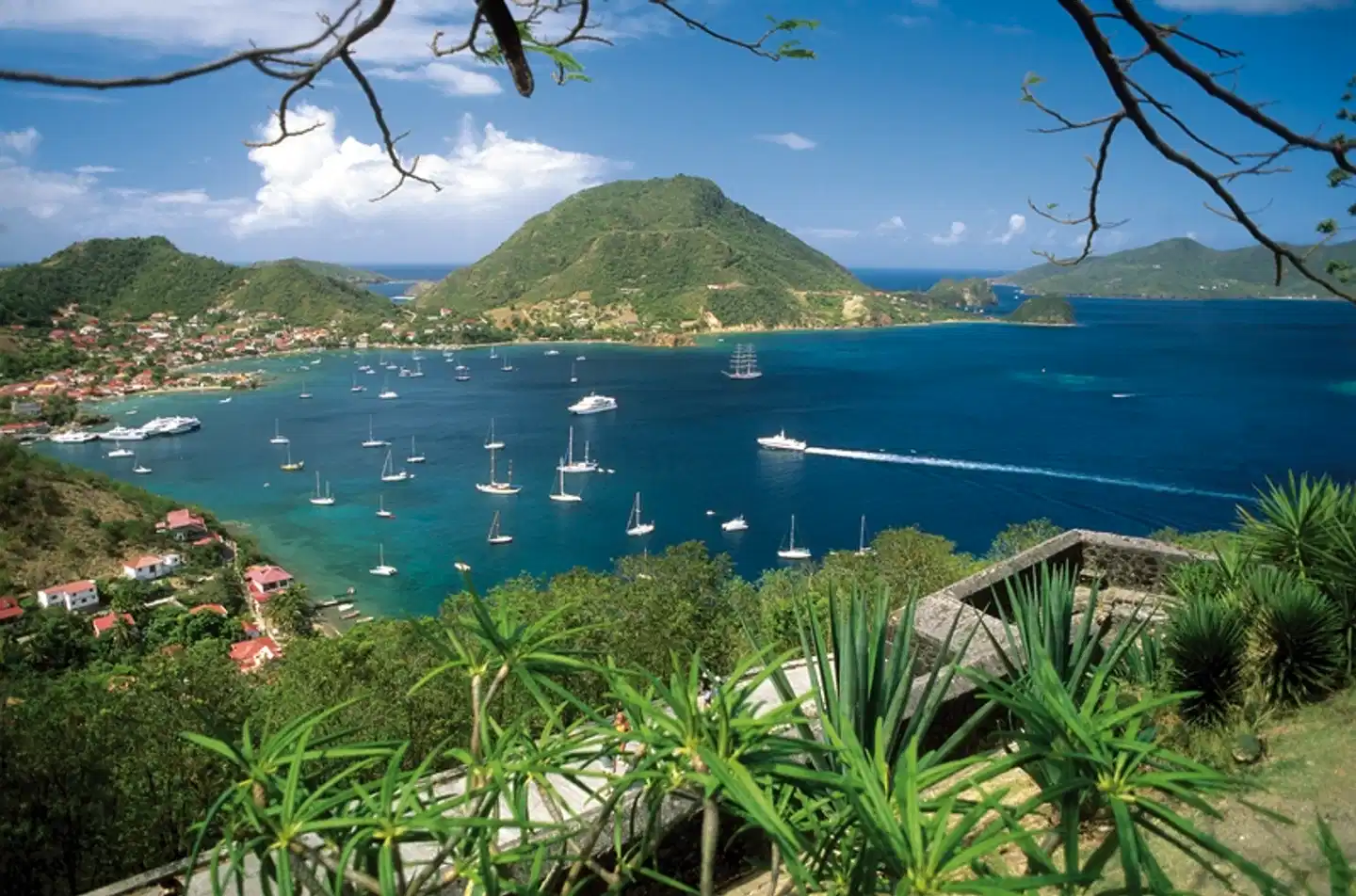 100 % Guadeloupe - Erlebnis Schmetterlingsinsel Landschaft