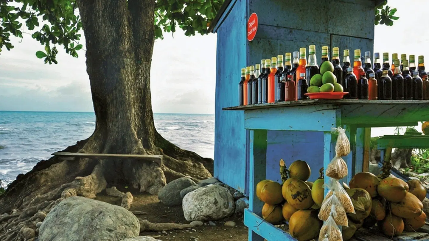 Jamaika auf eigene Faust Tiere