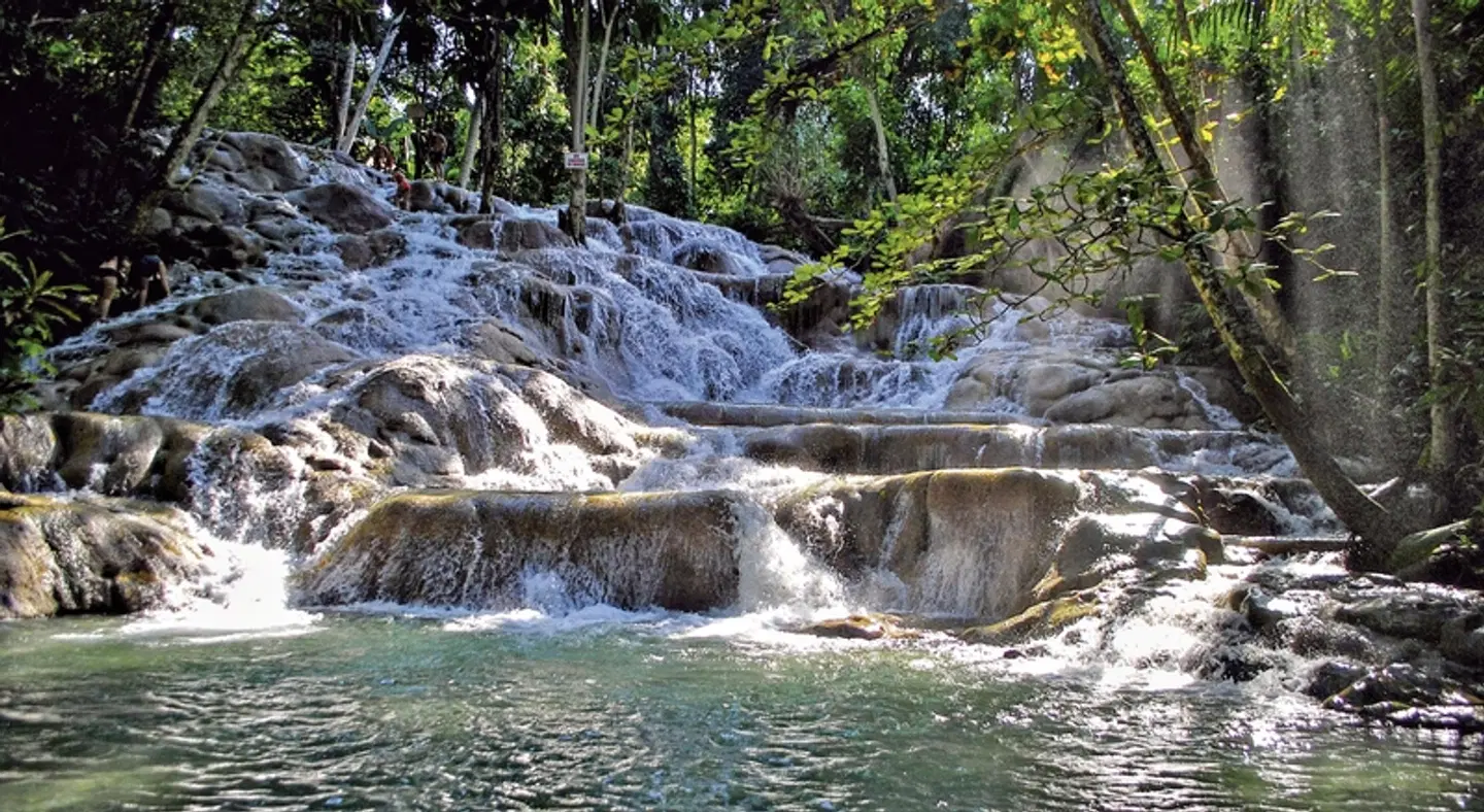 Jamaika auf eigene Faust Tiere