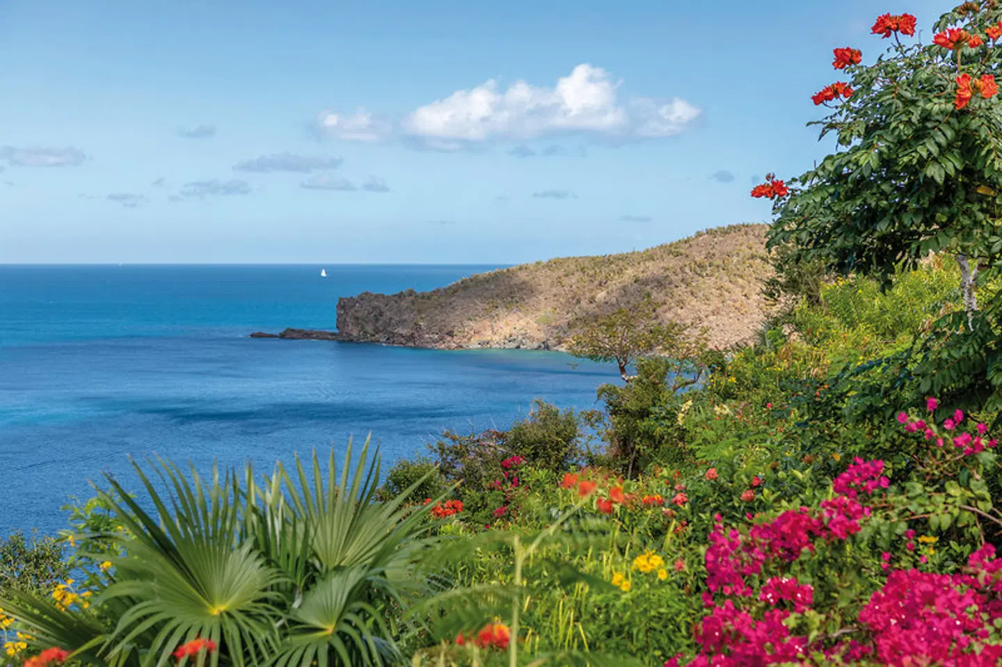 Guana Island LANDSCAPE