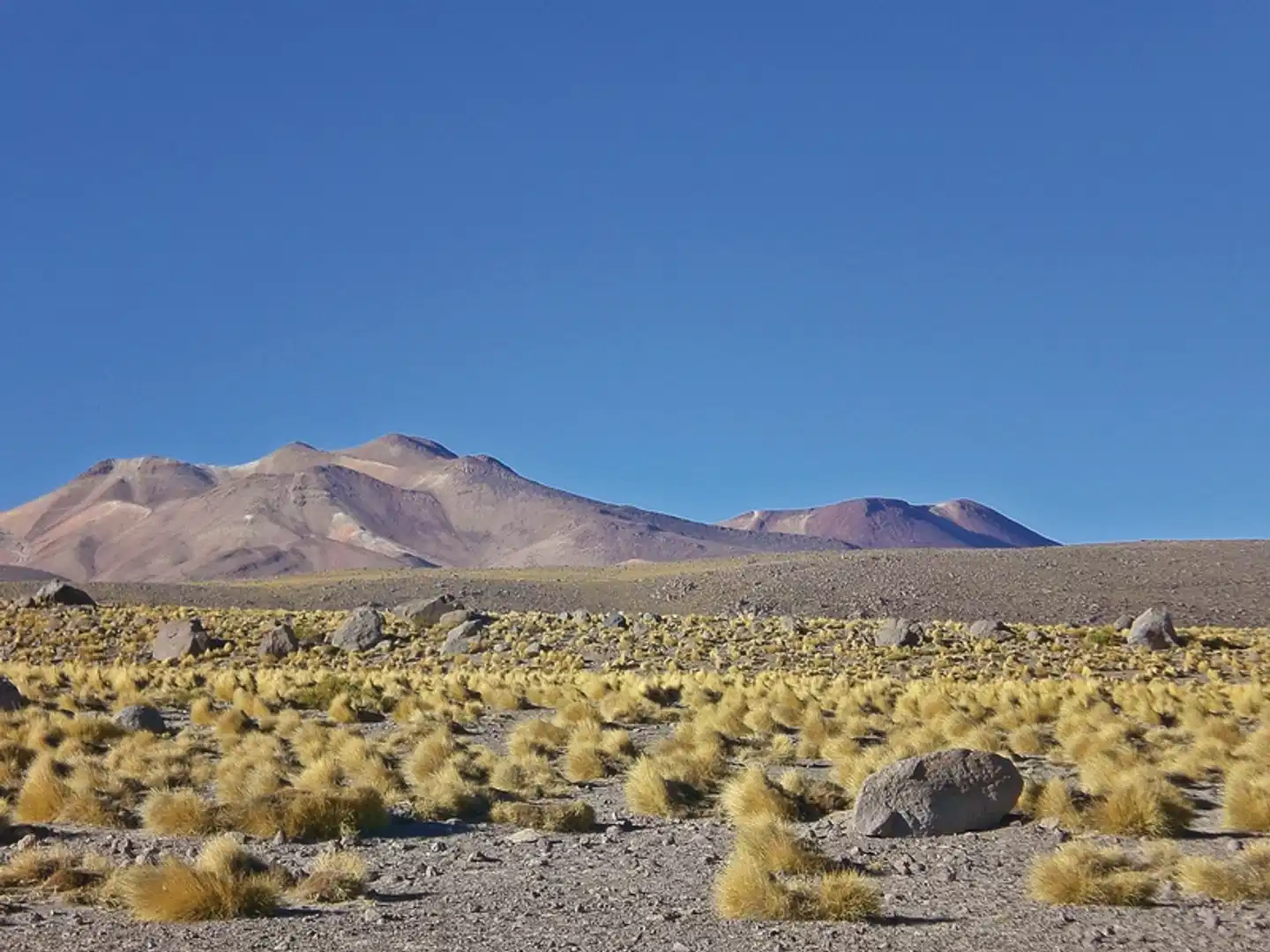 Südamerikas Big Five Landschaft