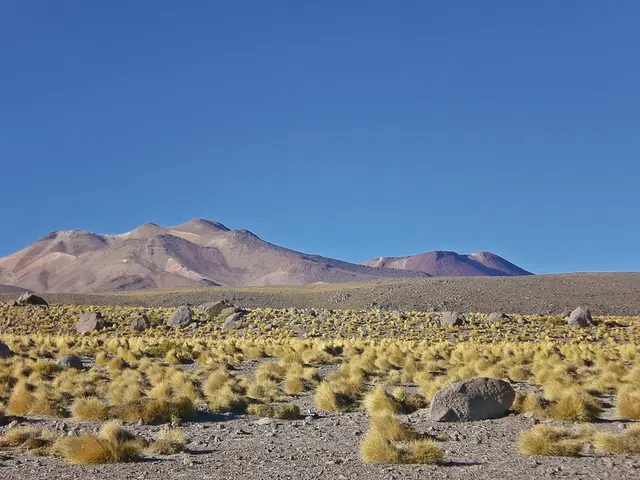 Südamerikas Big Five LANDSCAPE