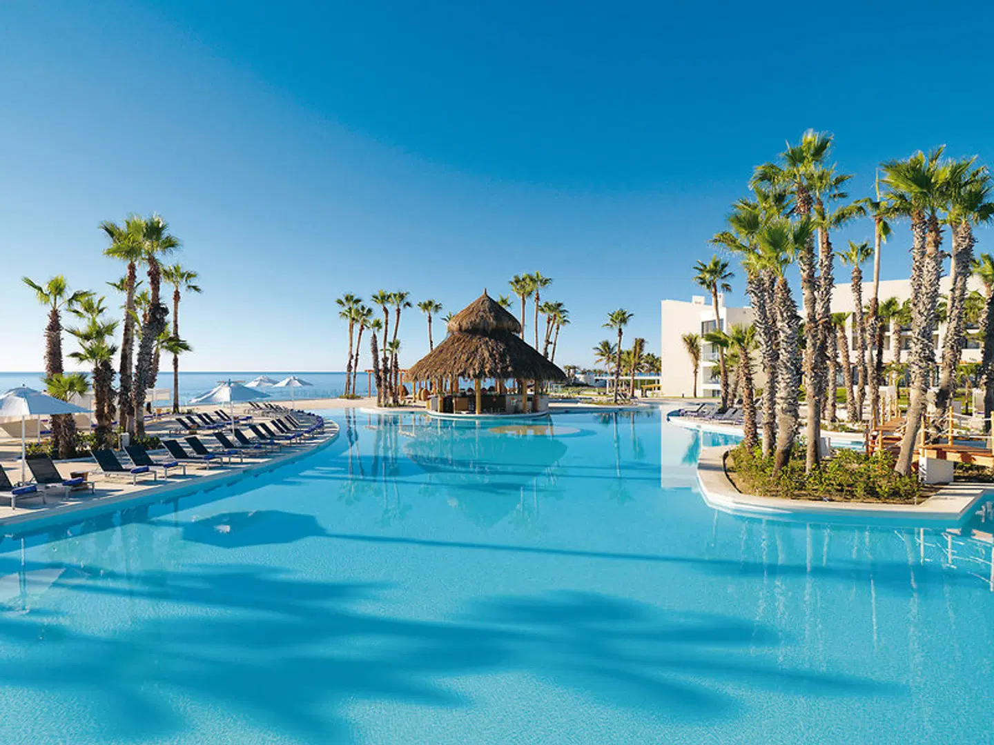 Paradisus Los Cabos - Adults only OUTDOOR_POOL