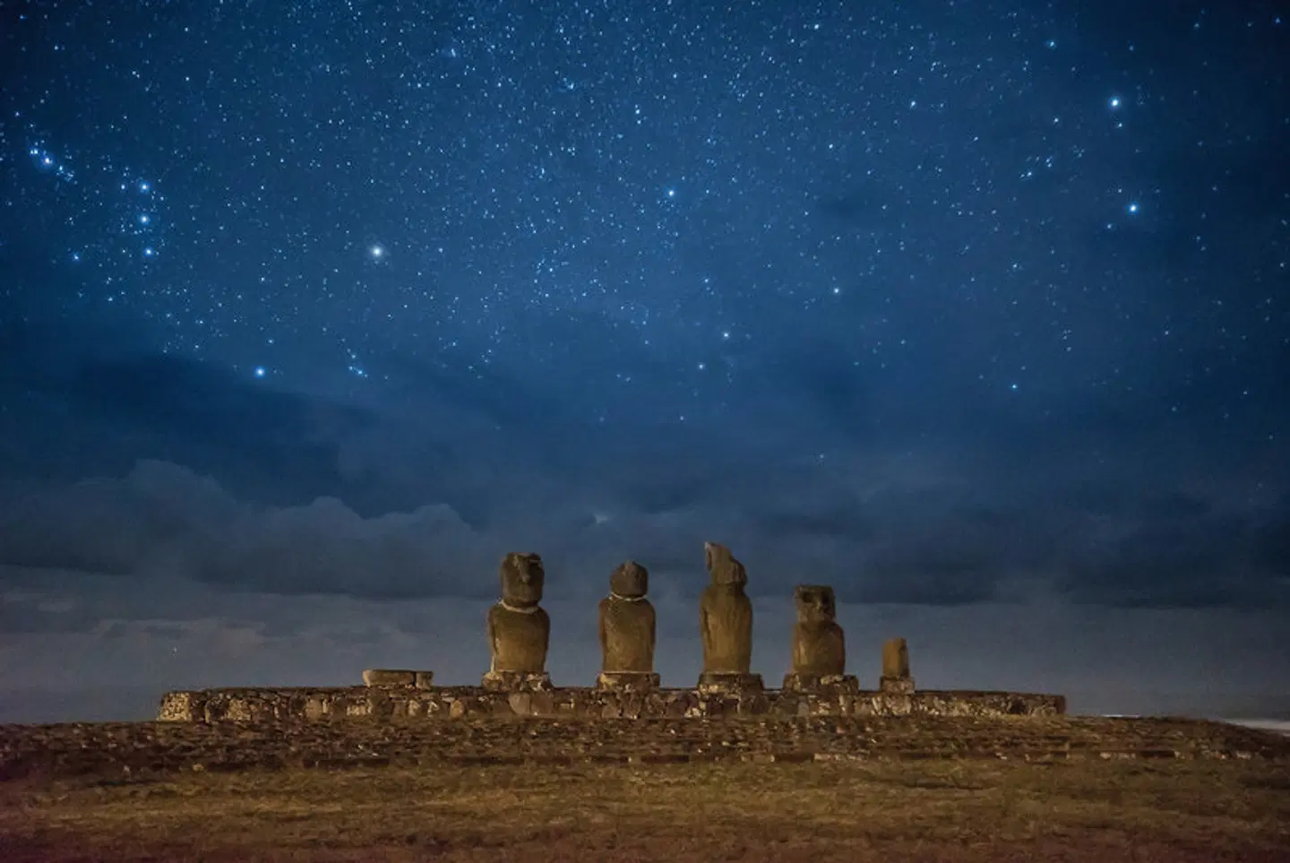 Auf den Spuren der Rapa Nui Tiere