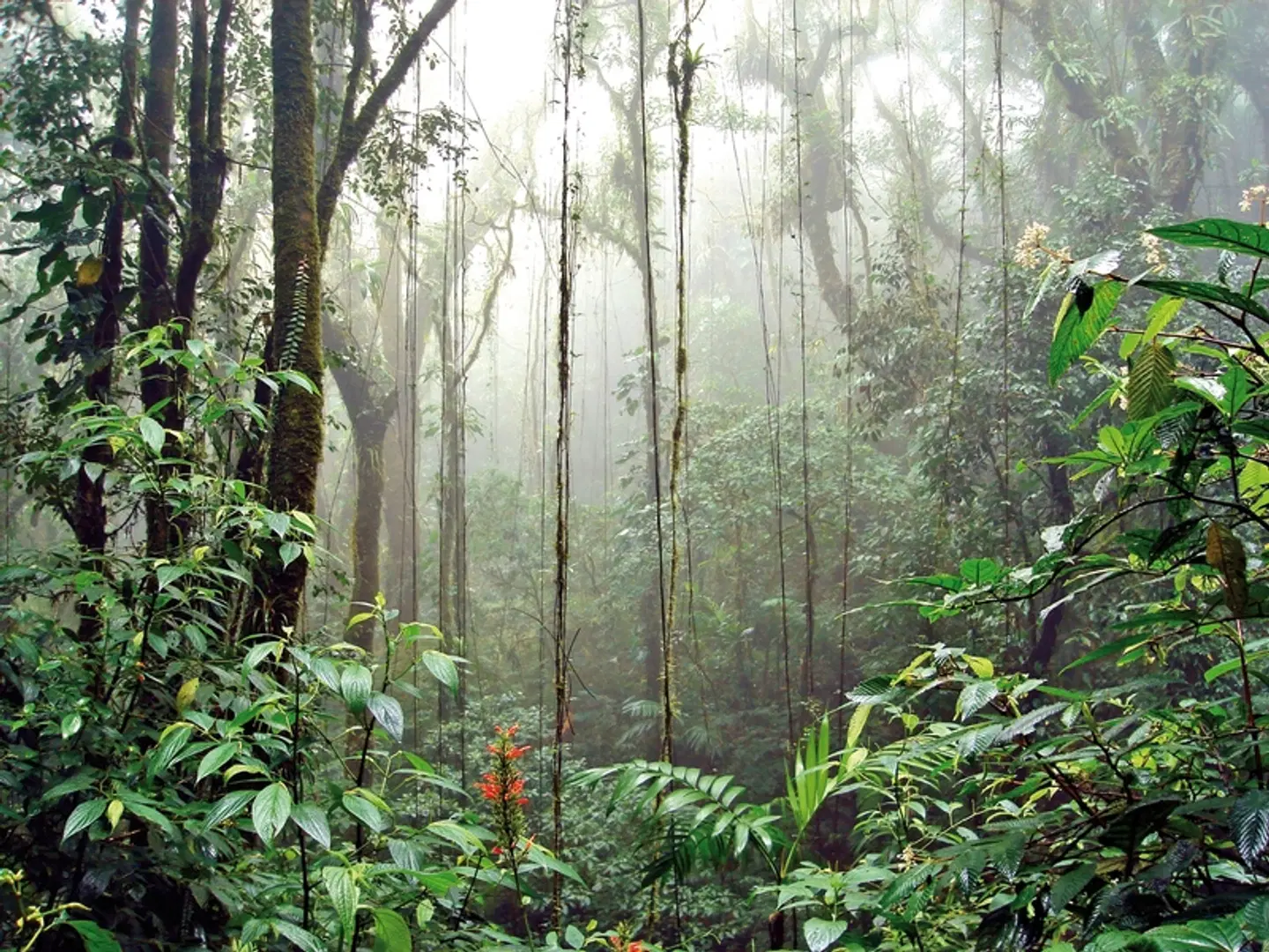 Best of Costa Rica LANDSCAPE