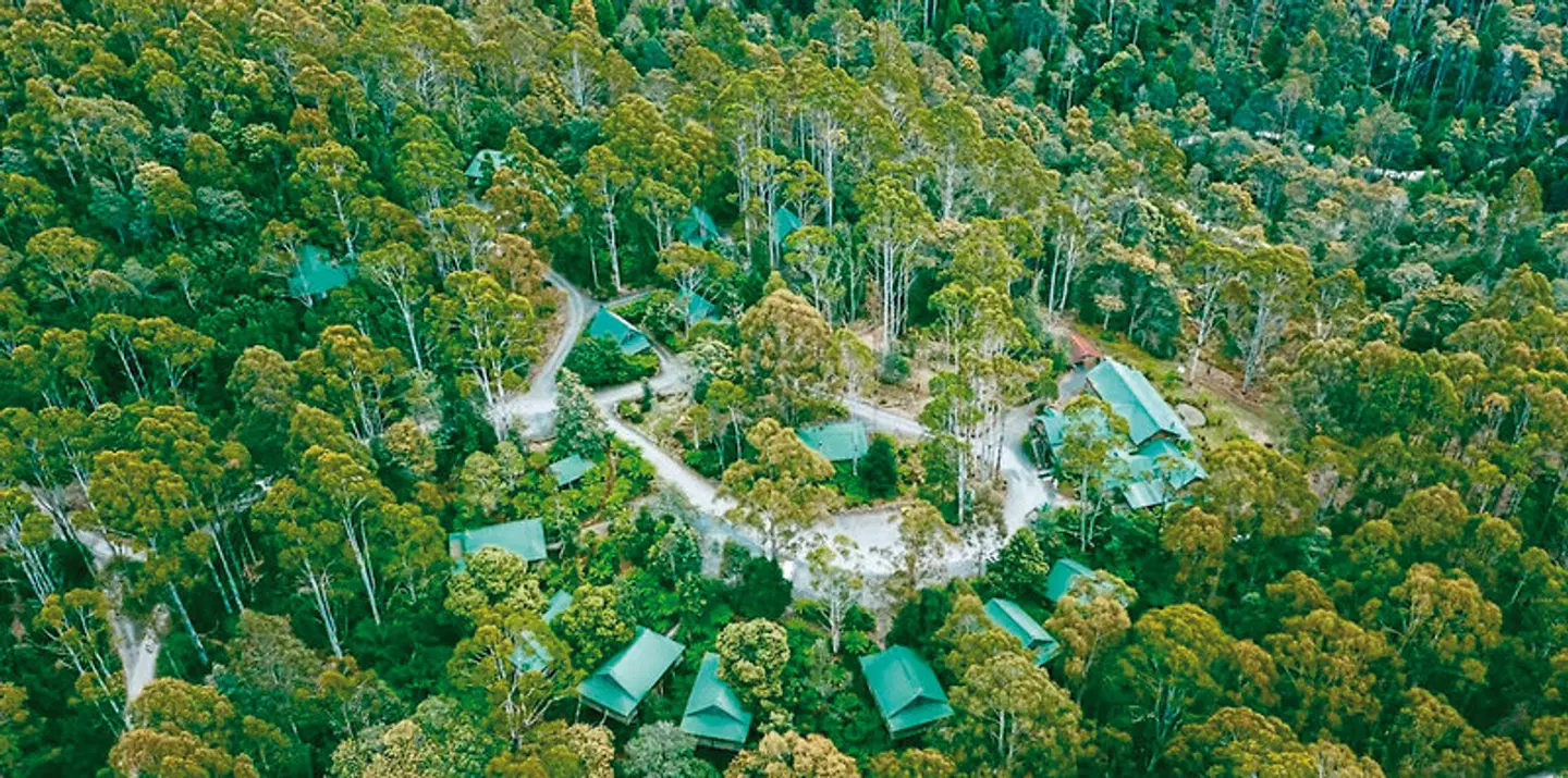 Lemonthyme Wilderness Retreat LANDSCAPE