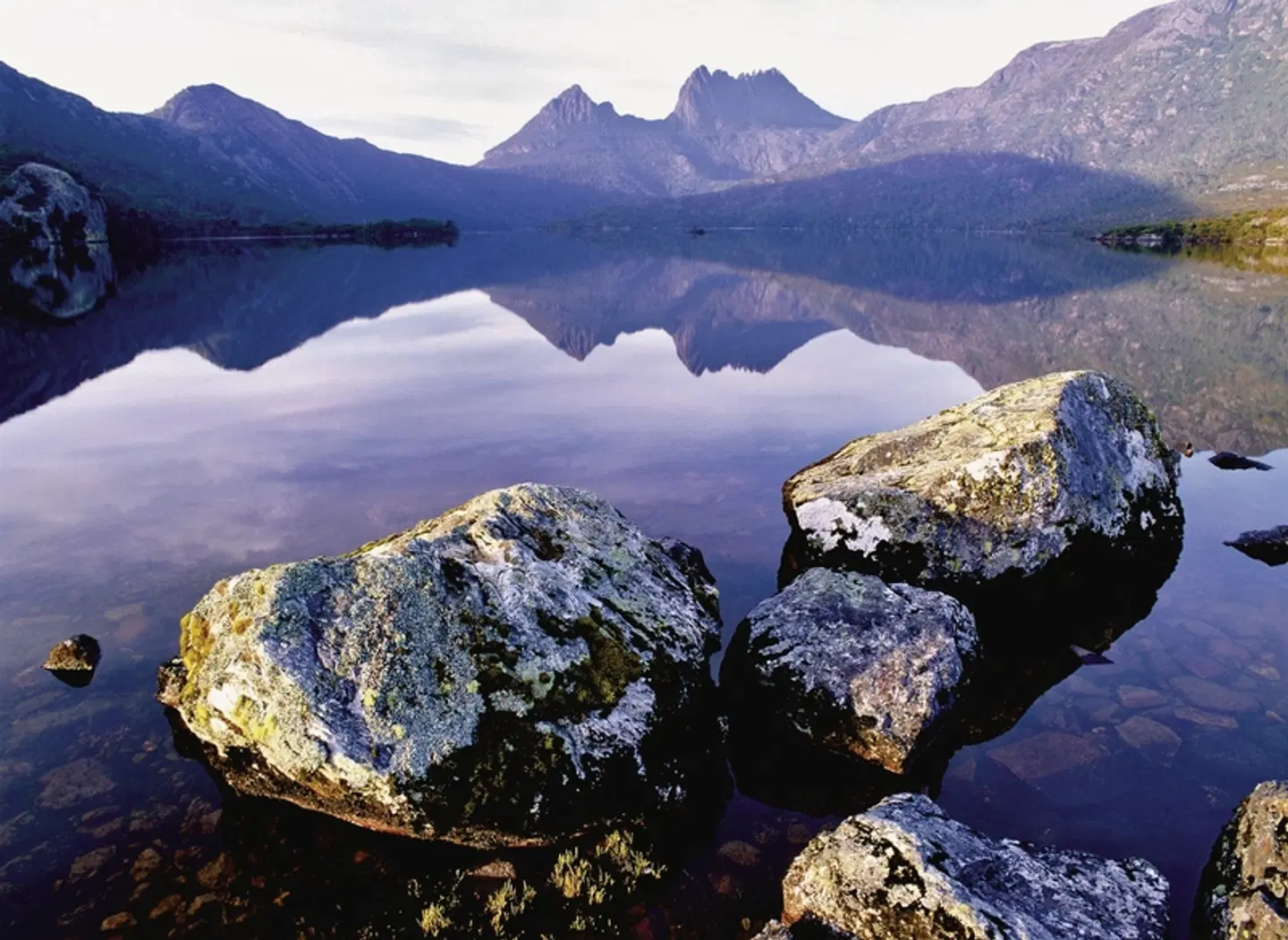 Tasmanien für Genießer Tiere