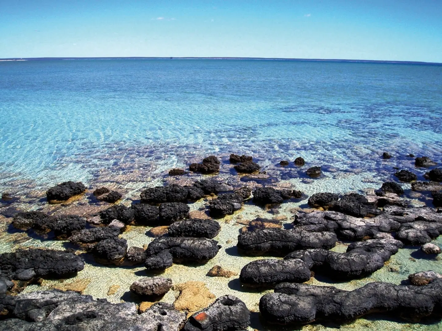 Höhepunkte im Westen Australiens (10 Tage) Strand