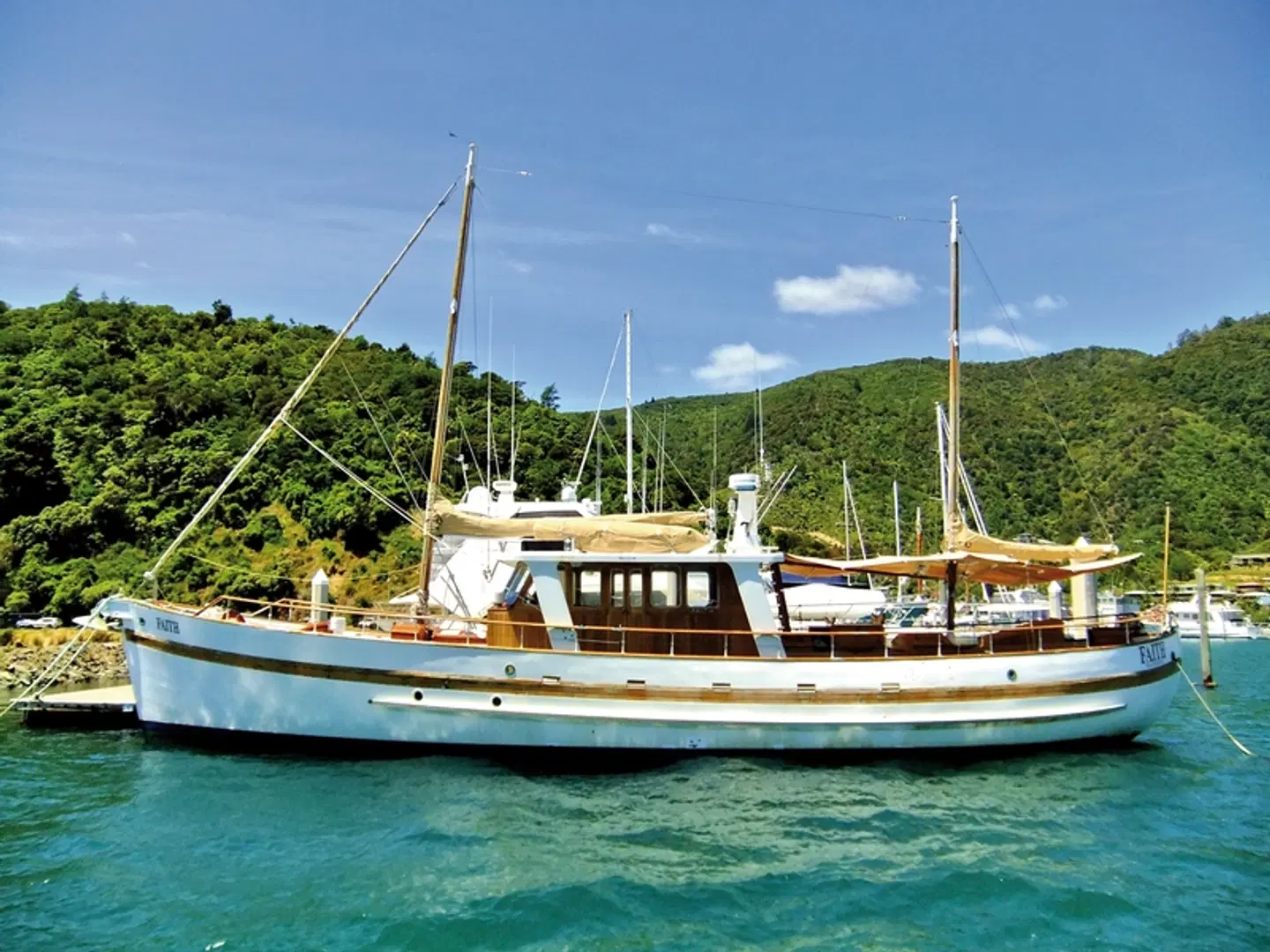 Kleingruppen-Safari (CHC-AKL) SPORTS_AND_LEISURE