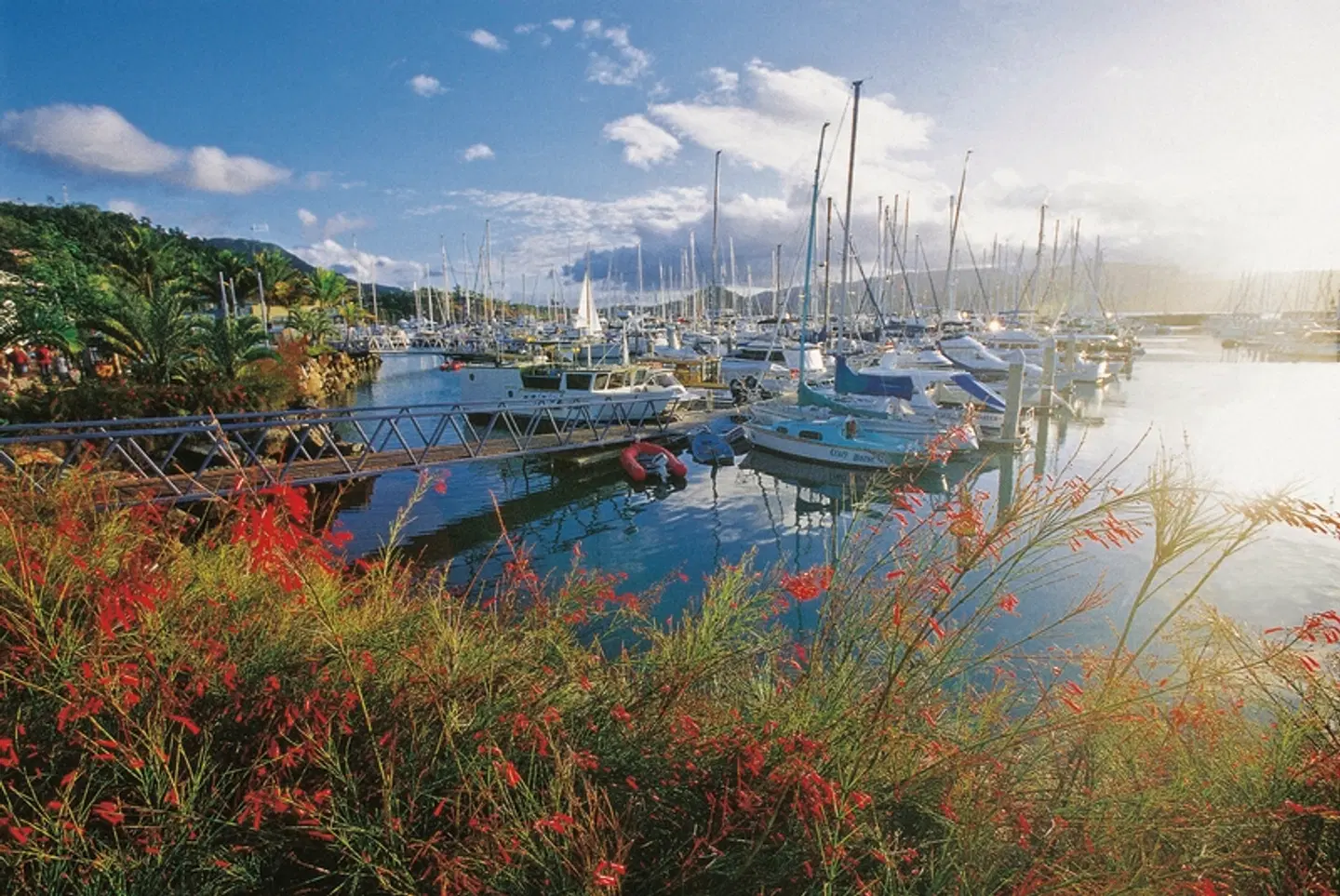 Segelabenteuer durch die Whitsunday Islands LANDSCAPE