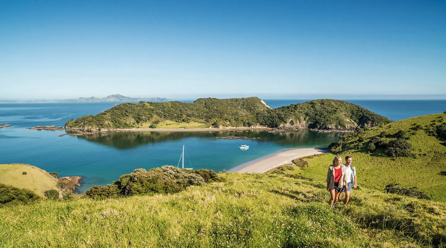 Zu Hause in Neuseeland LANDSCAPE