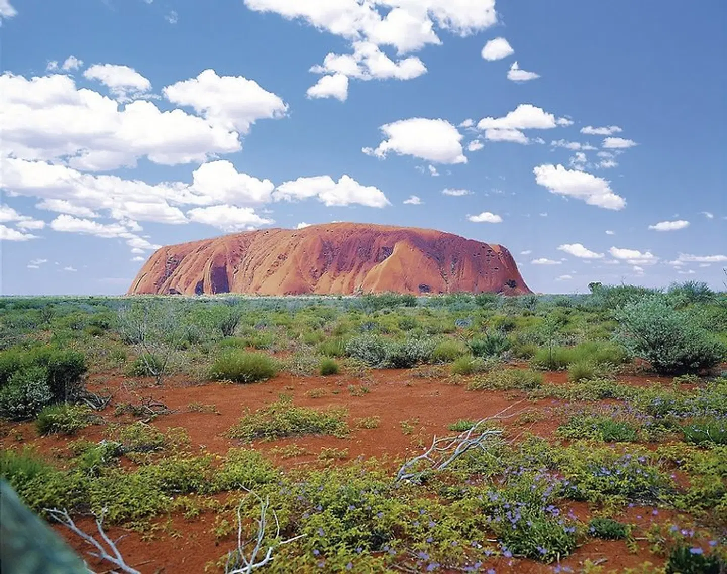Kontraste Australiens und Neuseelands LANDSCAPE