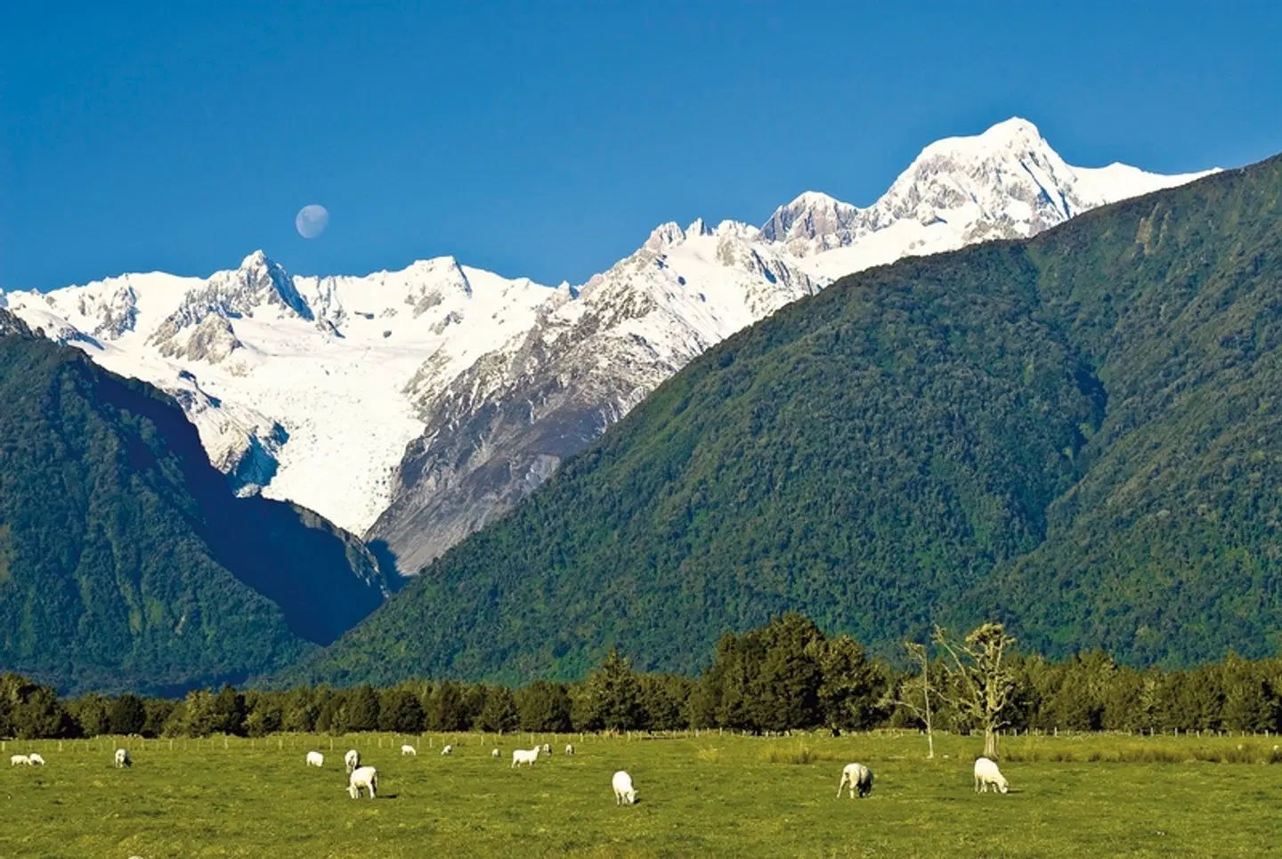Kleingruppen-Safari LANDSCAPE