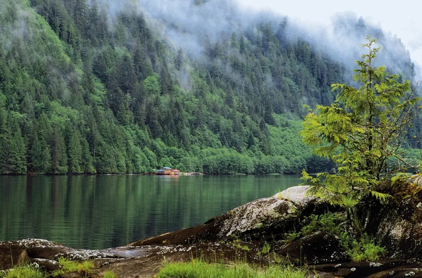 Great Bear Adventure LANDSCAPE