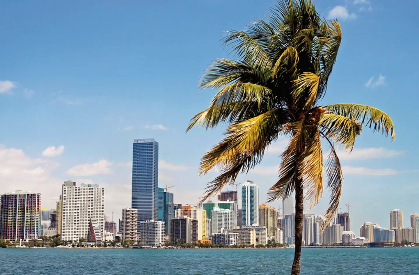 Manhattan Express & Florida Sunshine State EXTERIOR