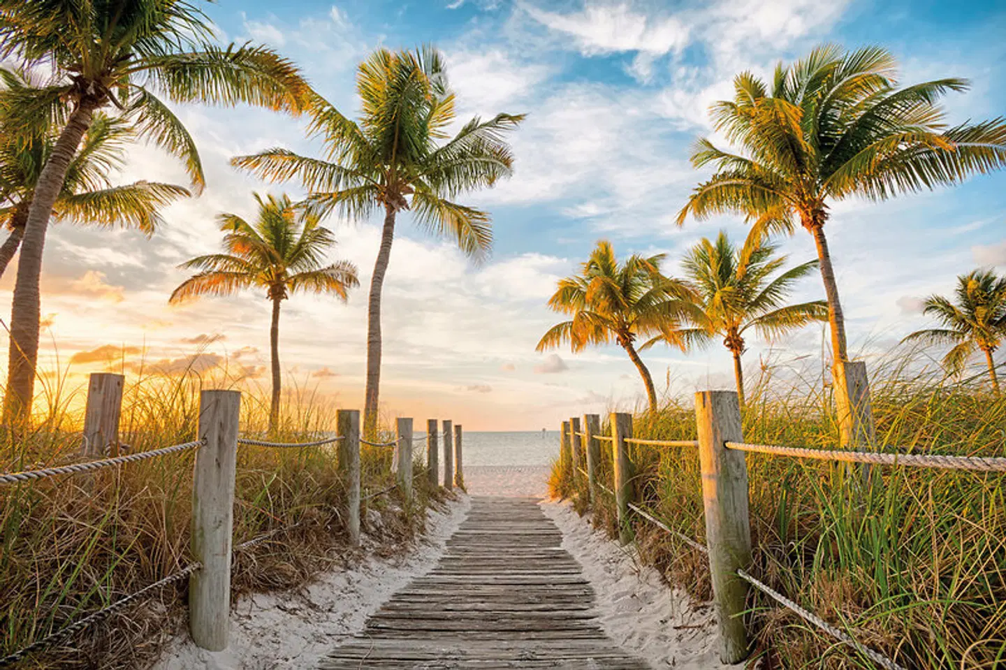 Florida Sunshine State Strand