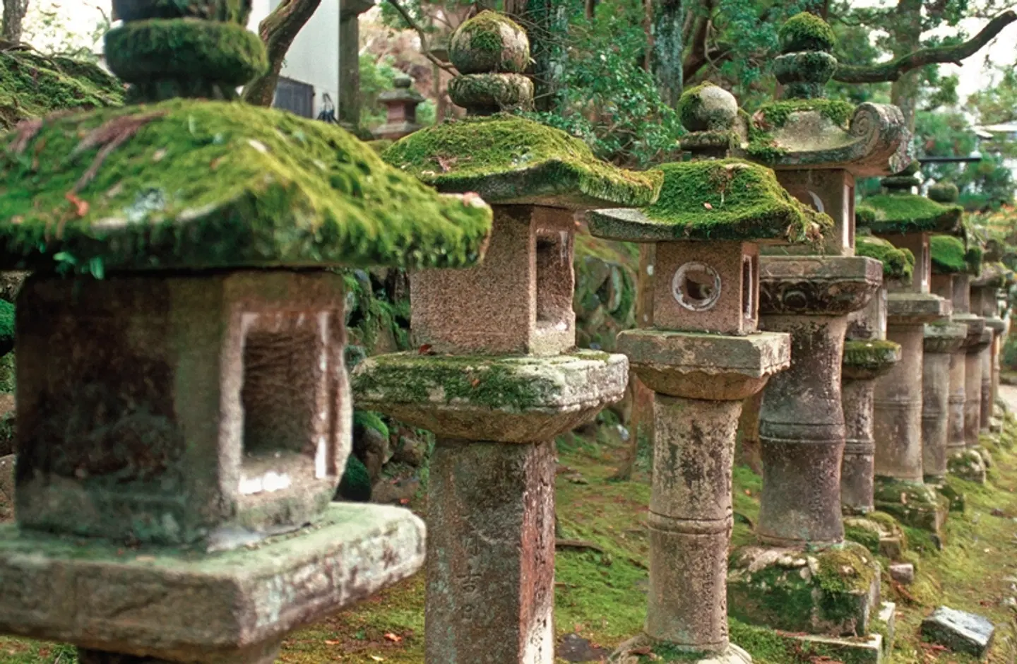 ADAC Special Japan - Im Land der aufgehenden Sonne Garten