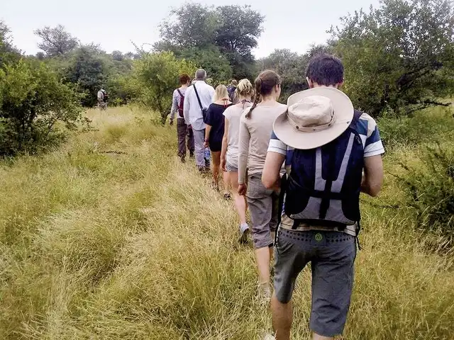 Drifters - Abenteuer Krüger Park Landschaft