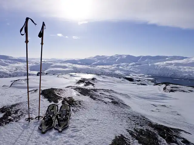 Wildlife, Polarlichter und Naturparadies Senja Sport und Entertainment