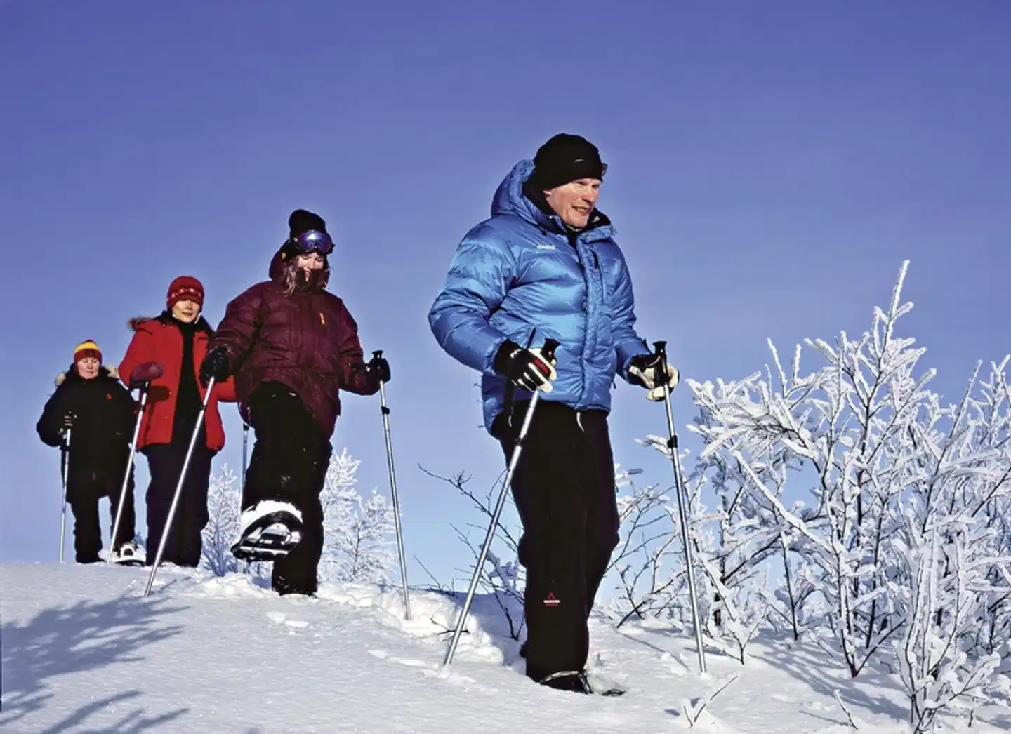 Winterlich aktiv in Schwedisch Lappland Sport und Entertainment