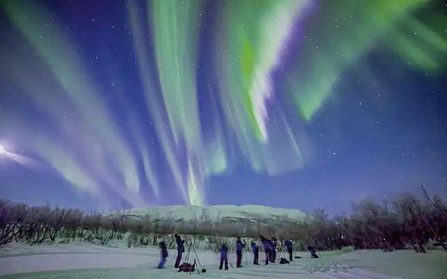 Abisko & ICEHOTEL - Das pure Nordlichtabenteuer Tiere