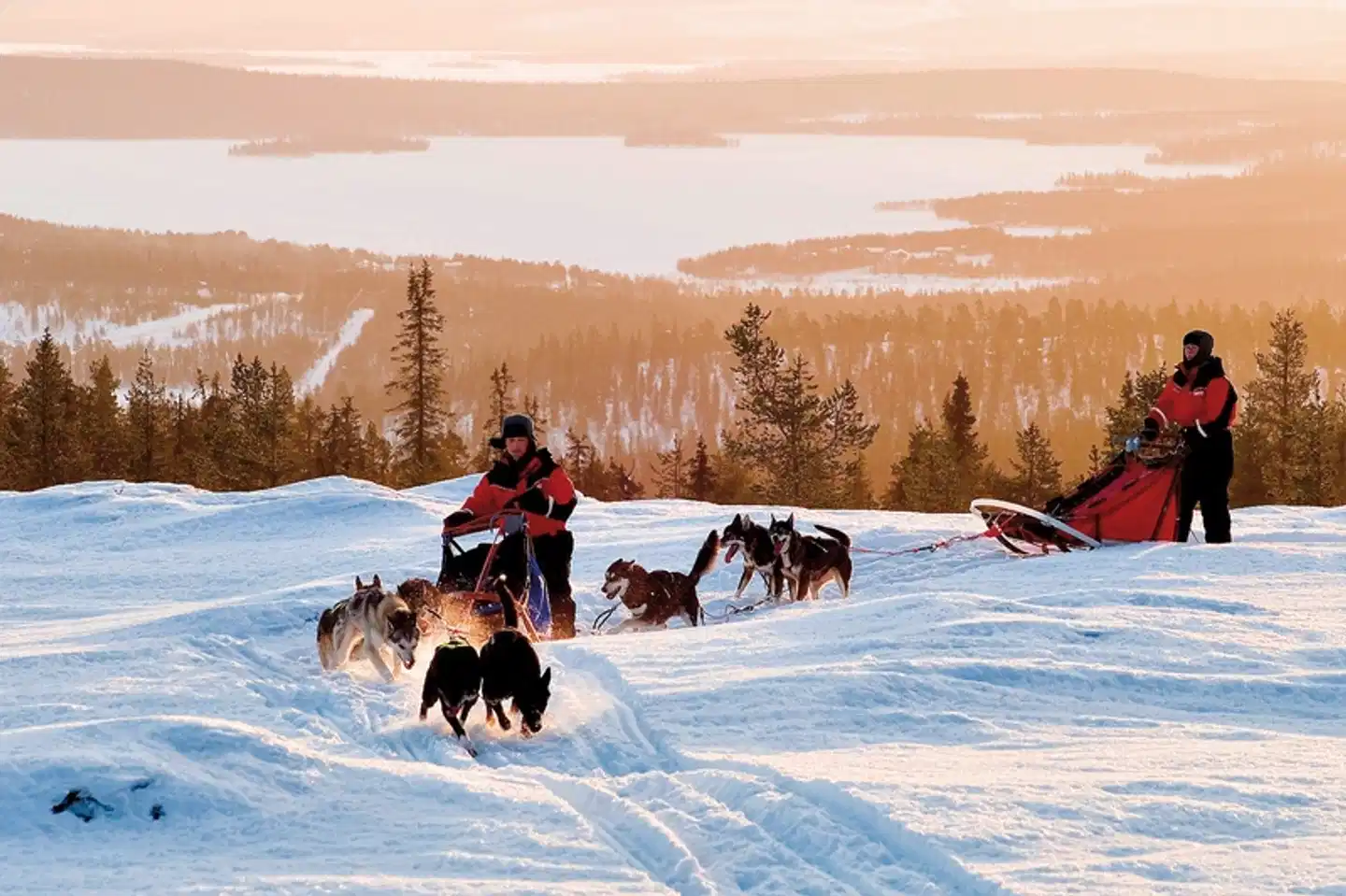 Harriniva - Das Beste von Lappland Sport und Entertainment