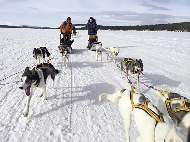 Arktische Erlebnisse Sport und Entertainment