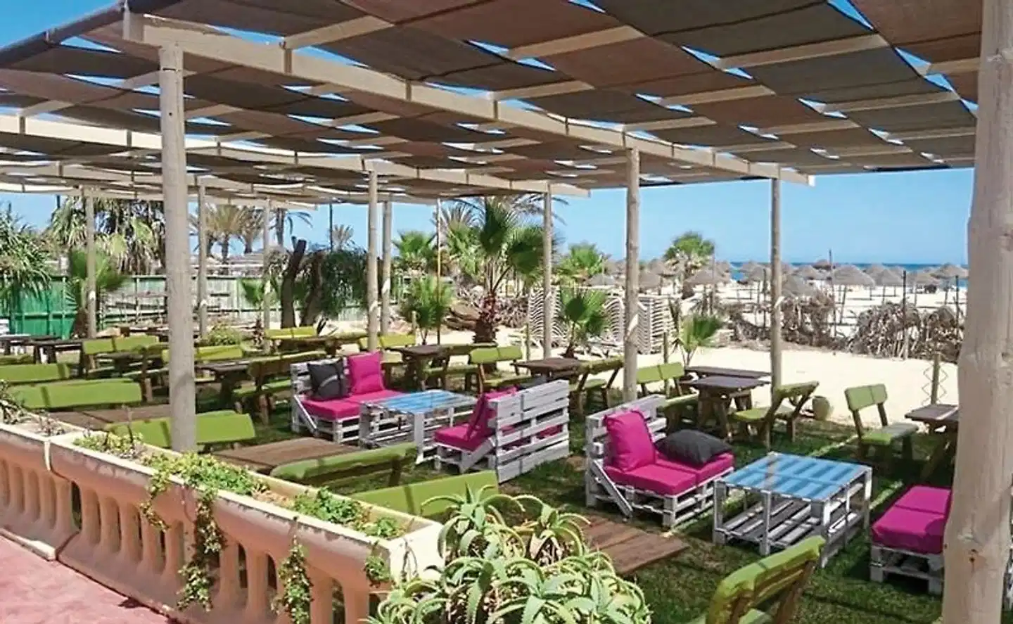 Nesrine Terrasse