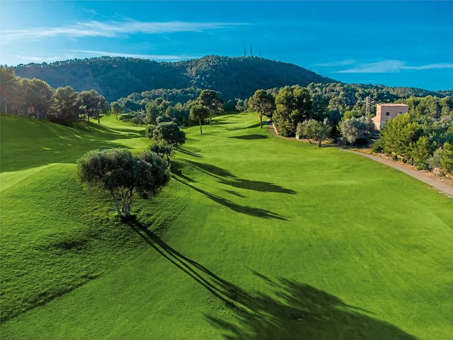 Zafiro Palace Andratx LANDSCAPE