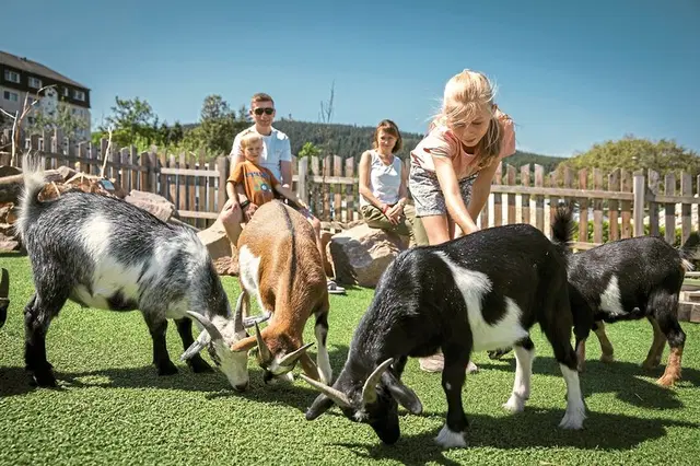 Elldus Resort - Familotel Erzgebirge Tiere