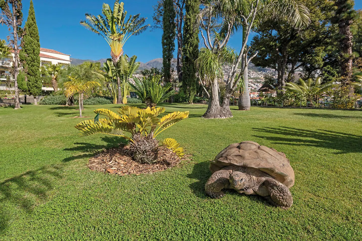 Quinta Jardins do Lago Garten