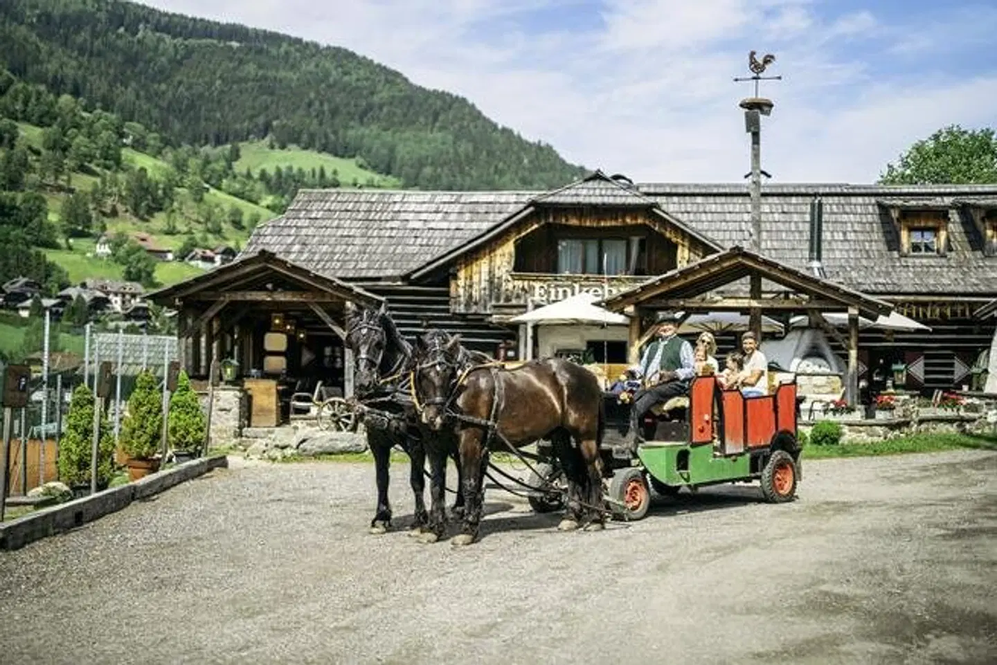 Trattlerhof Tiere
