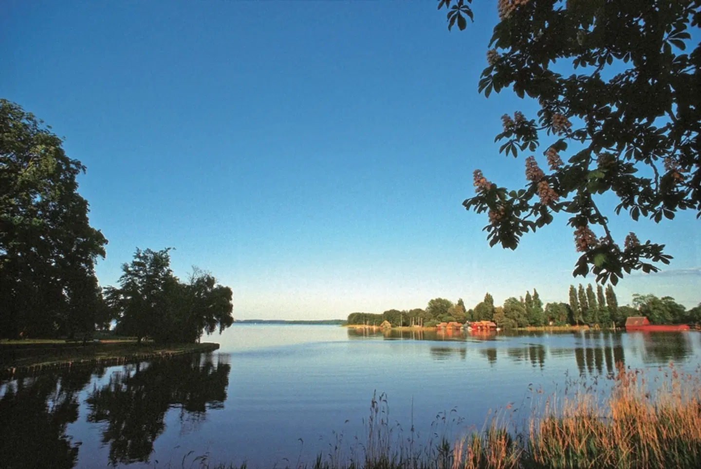 Mecklenburgische Seenplatte LANDSCAPE