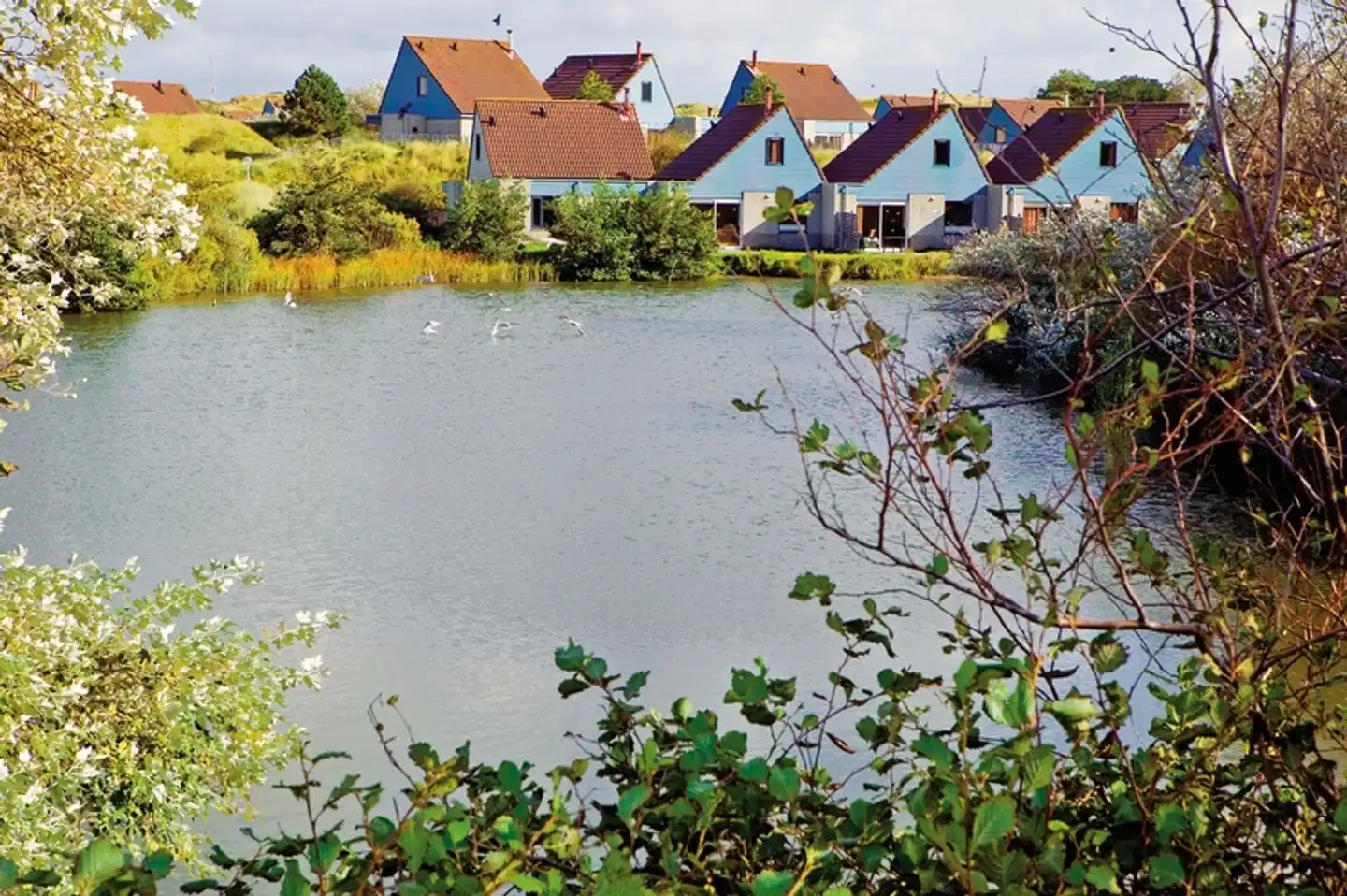 Center Parcs Park Zandvoort (Hotel) Aussenansicht