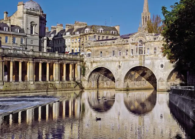 Südenglands Highlights Tiere