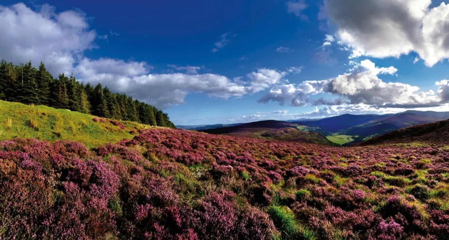 Roadtrip Wild Atlantic Way Landschaft