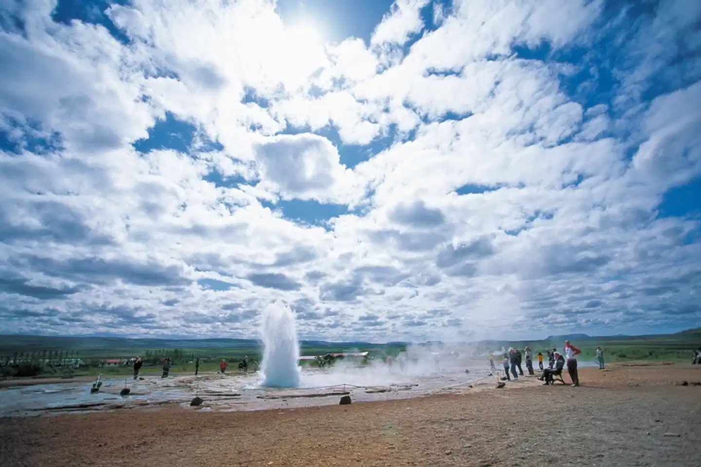 Perlen der Südküste Tiere