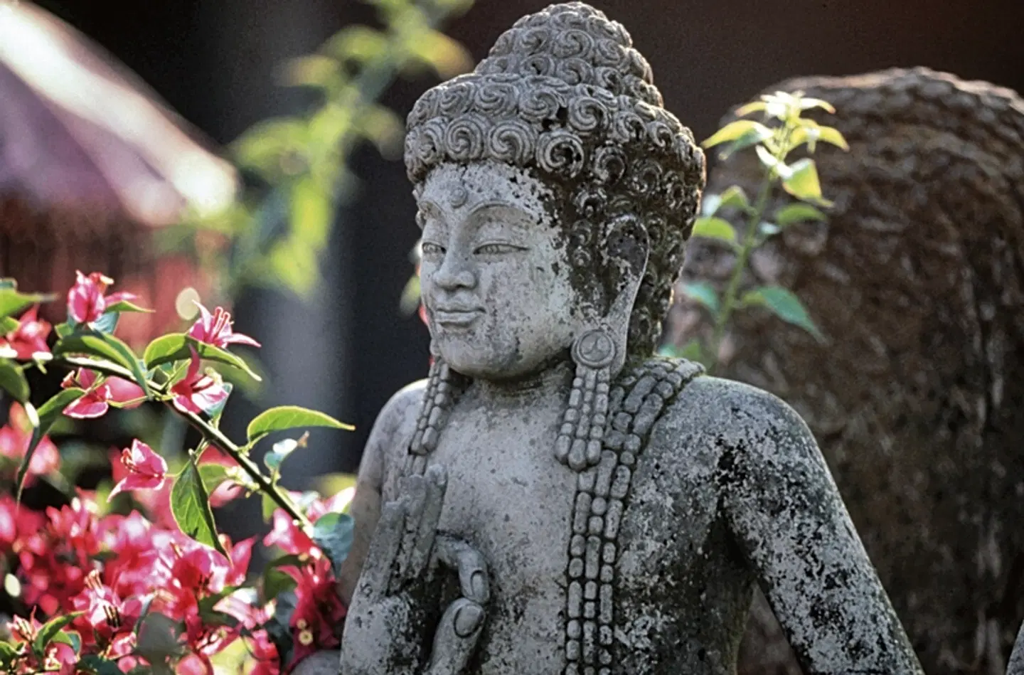 Klassische Höhepunkte Javas (Privatreise, ab/bis Südbali) Tiere