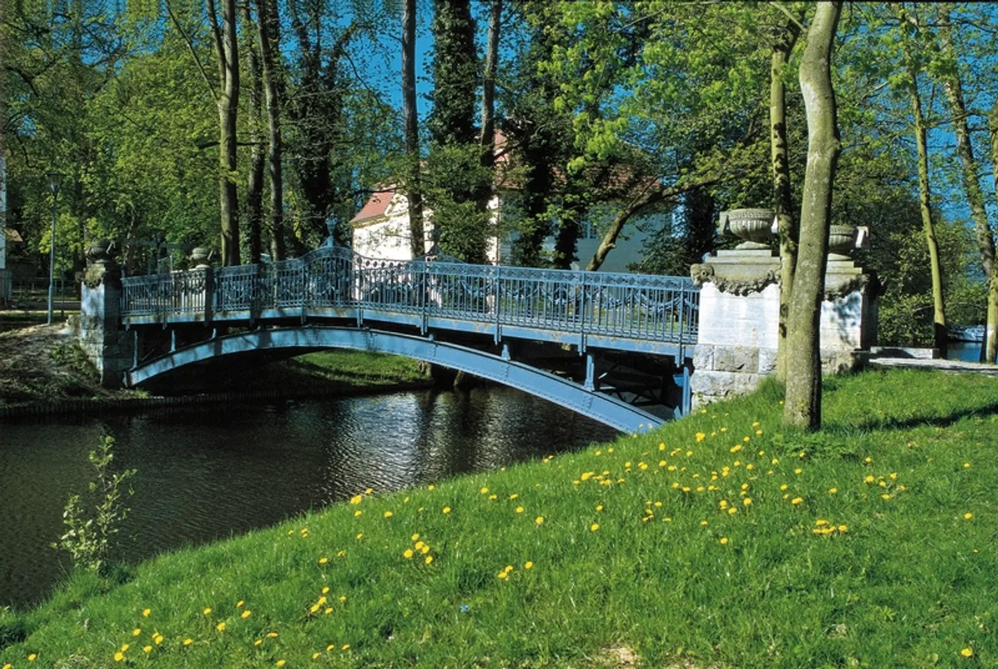 Rund um Müritz & Plauer See Garten