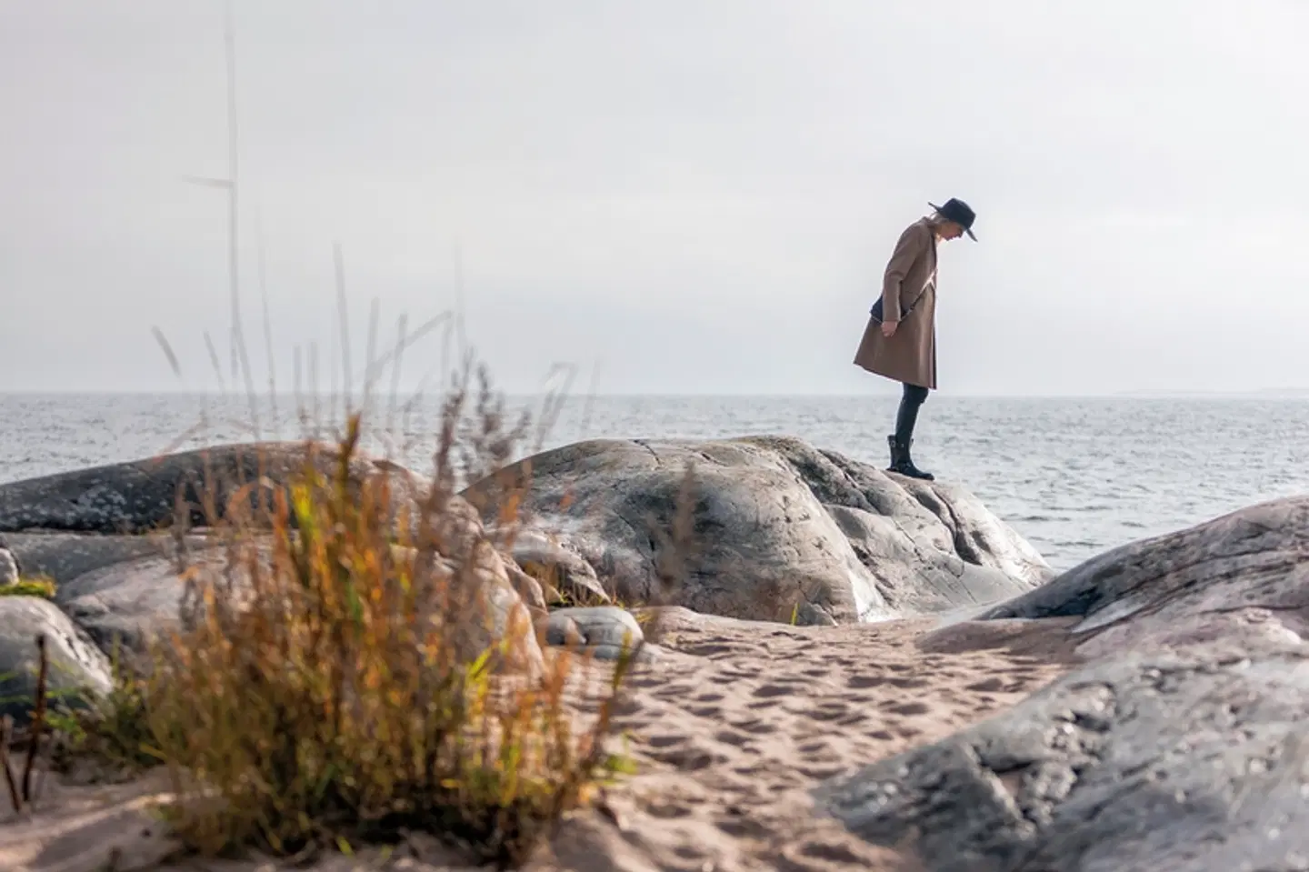Stockholm - Inselhüpfen auf den Schären Tiere