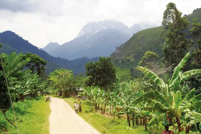 Drifters - Uganda Explorer Landschaft