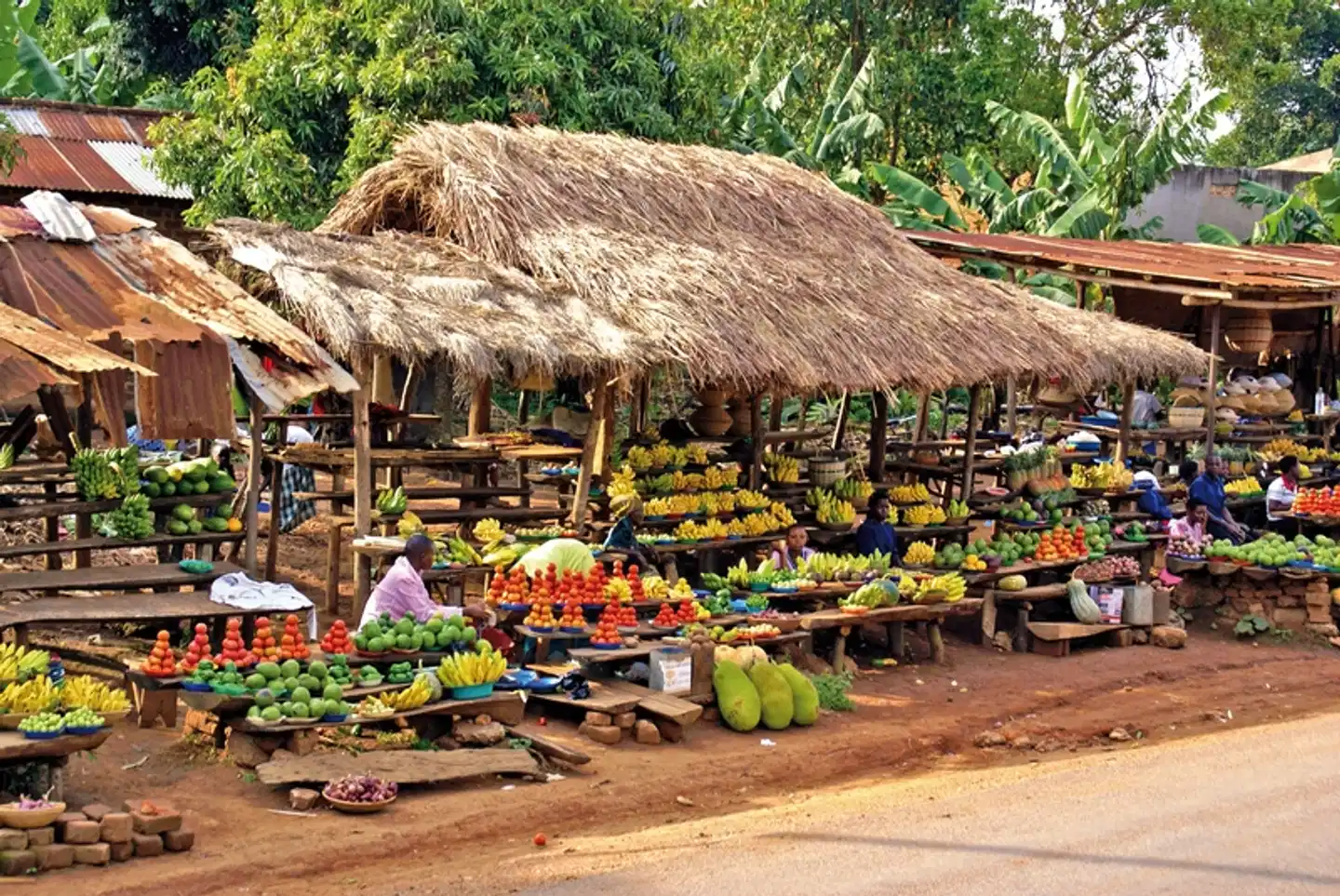 Drifters - Uganda Explorer Bar