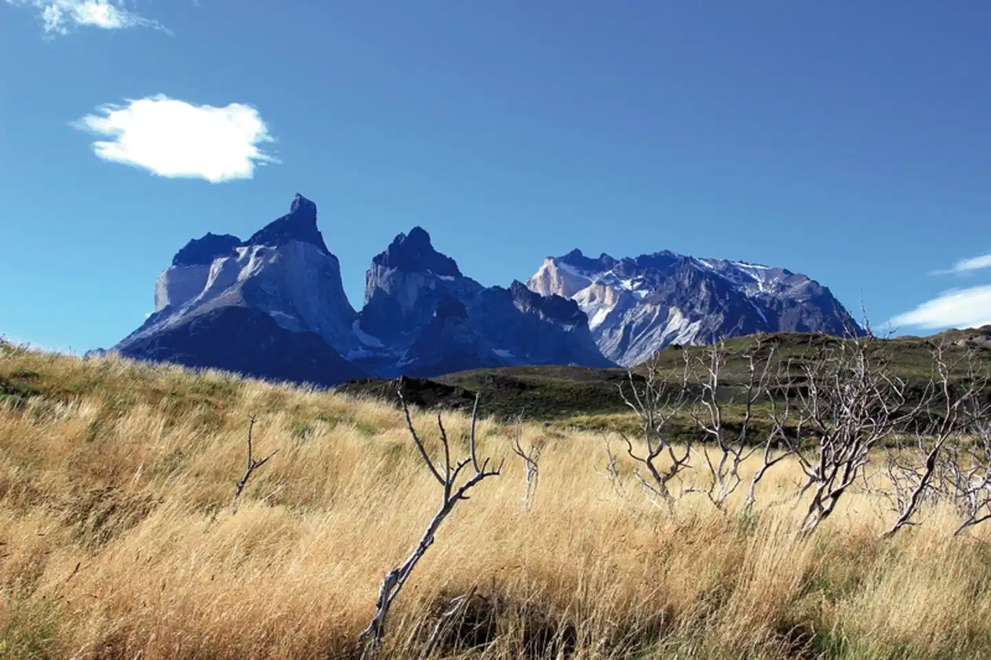 Rauhes Patagonien & mystische Osterinsel Landschaft