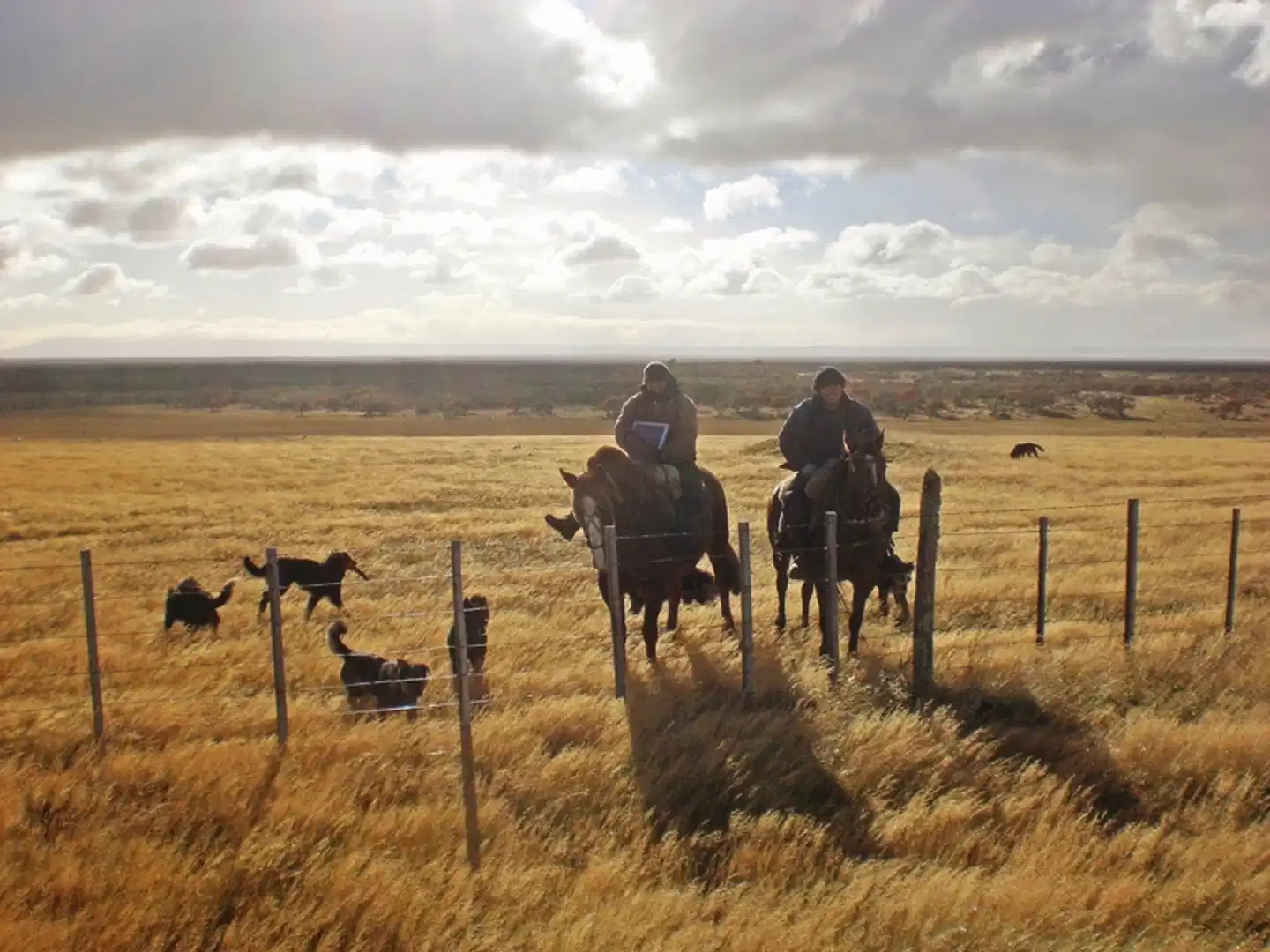 Patagonien individuell entdecken Sport und Entertainment