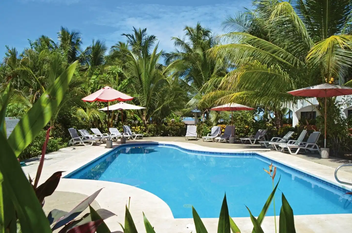 Pochote Grande Pool