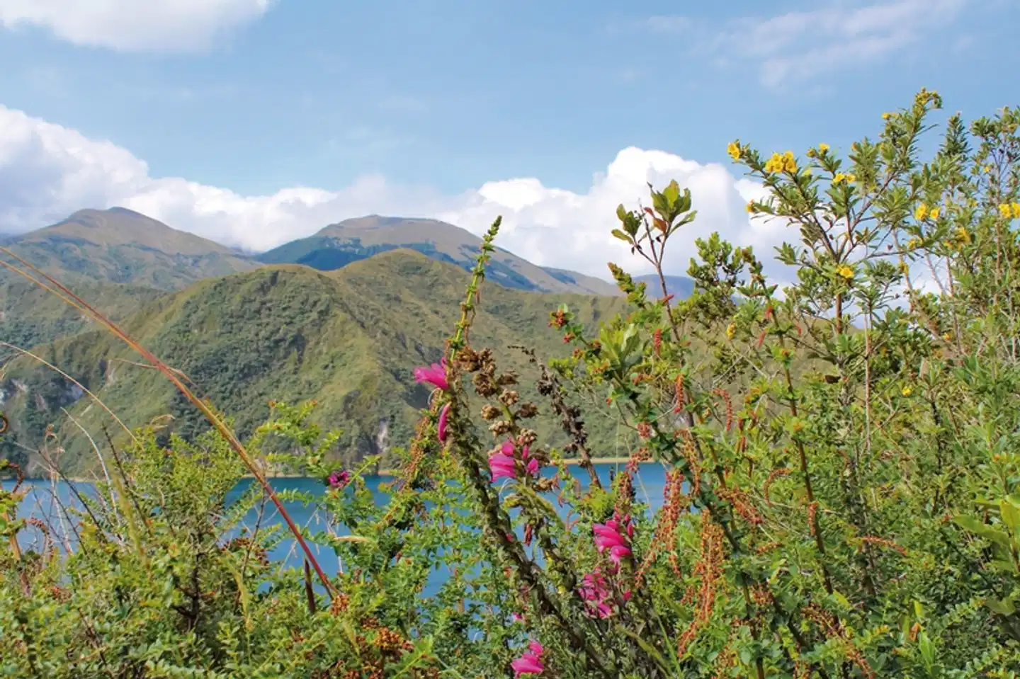 Farbenprächtiges Ecuador Landschaft
