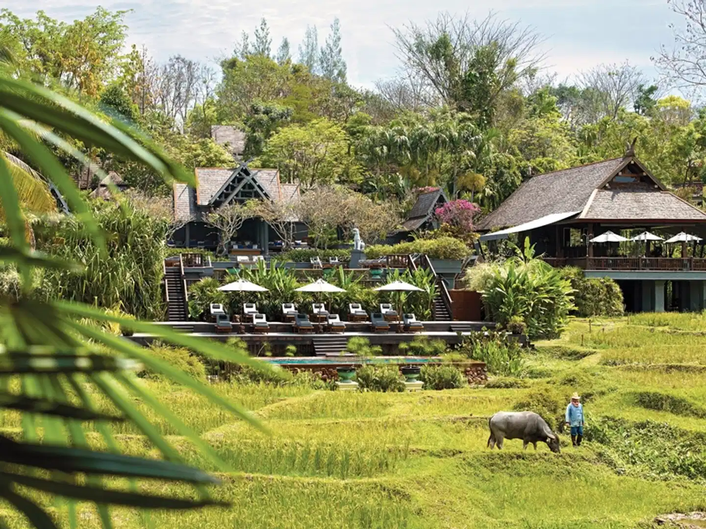 Four Seasons Resort Chiang Mai Tiere